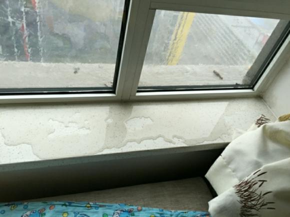 窗戶滲漏維修